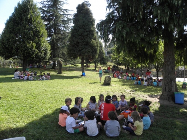 actividades en el campo